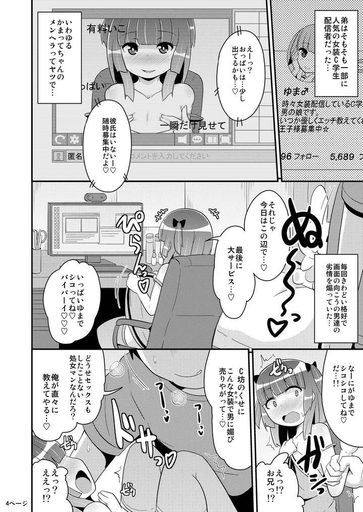 A-Book-That-Cannot-Be-Drawn-Commercially-By-Chinzurina-By-Chinzurena-Jp page 3