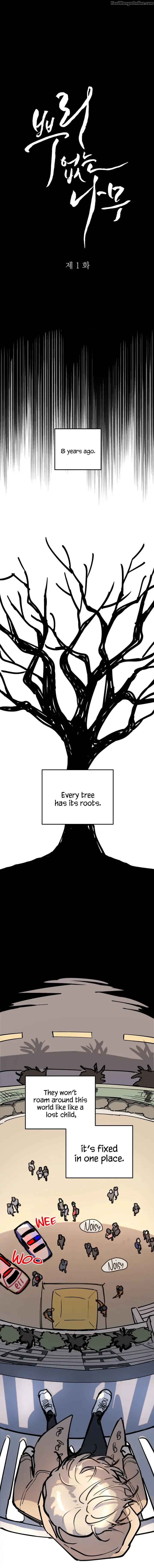 A-Tree-Without-Roots-By-Lapo-Eng page 5