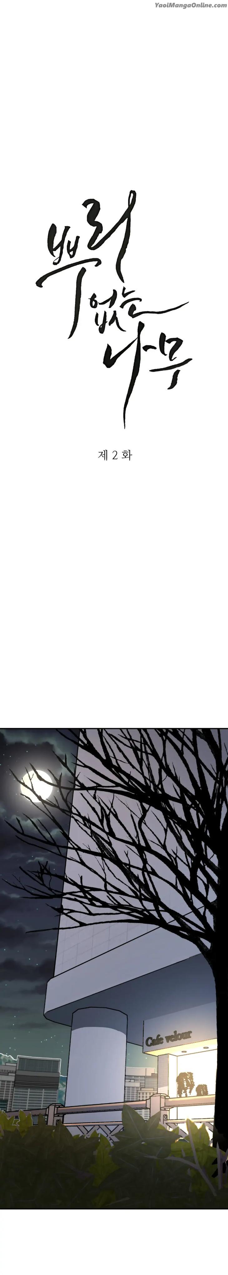 A-Tree-Without-Roots-By-Lapo-Eng page 7
