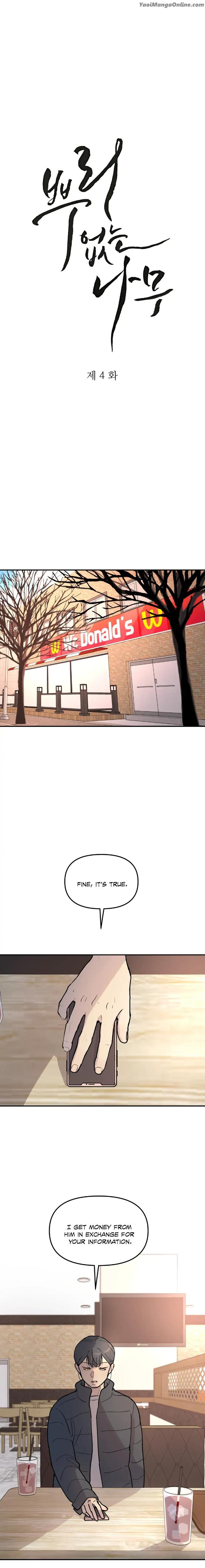 A-Tree-Without-Roots-By-Lapo-Eng page 5
