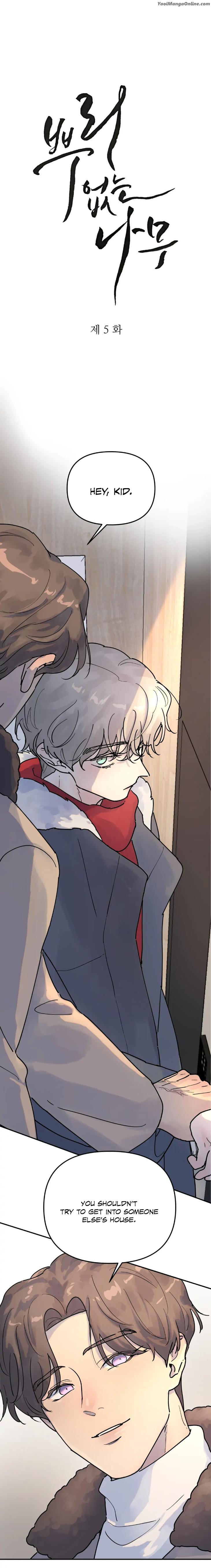 A-Tree-Without-Roots-By-Lapo-Eng chapter_005 thumbnail
