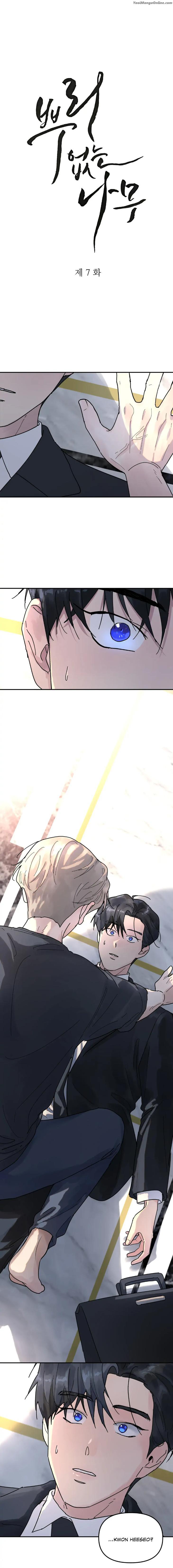 A-Tree-Without-Roots-By-Lapo-Eng chapter_007 thumbnail