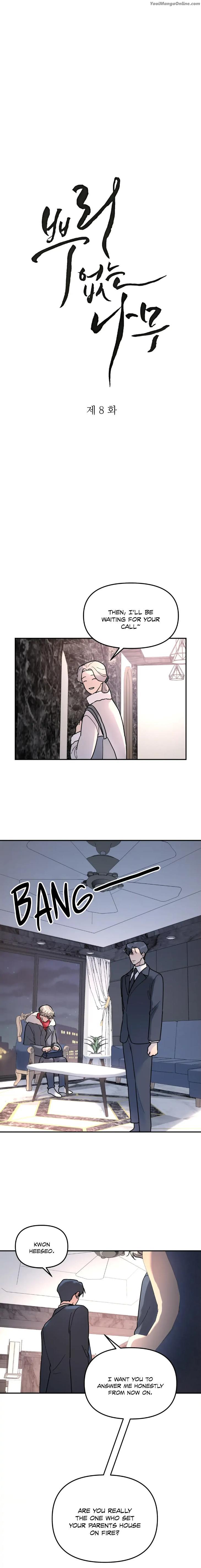 A-Tree-Without-Roots-By-Lapo-Eng page 3