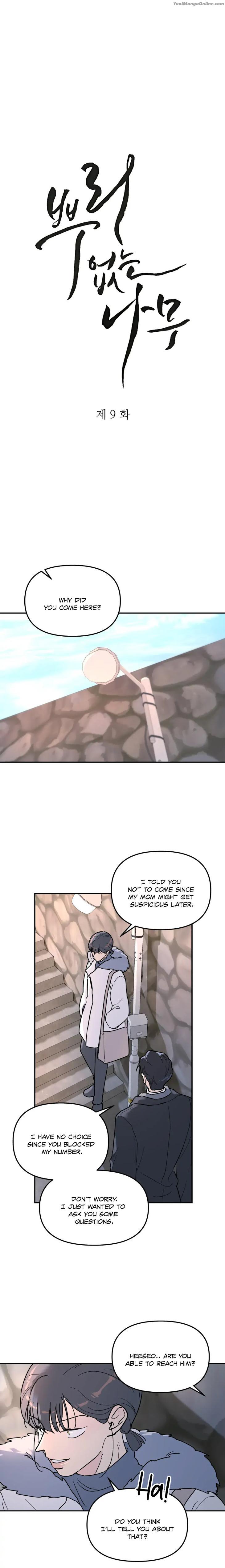 A-Tree-Without-Roots-By-Lapo-Eng page 4