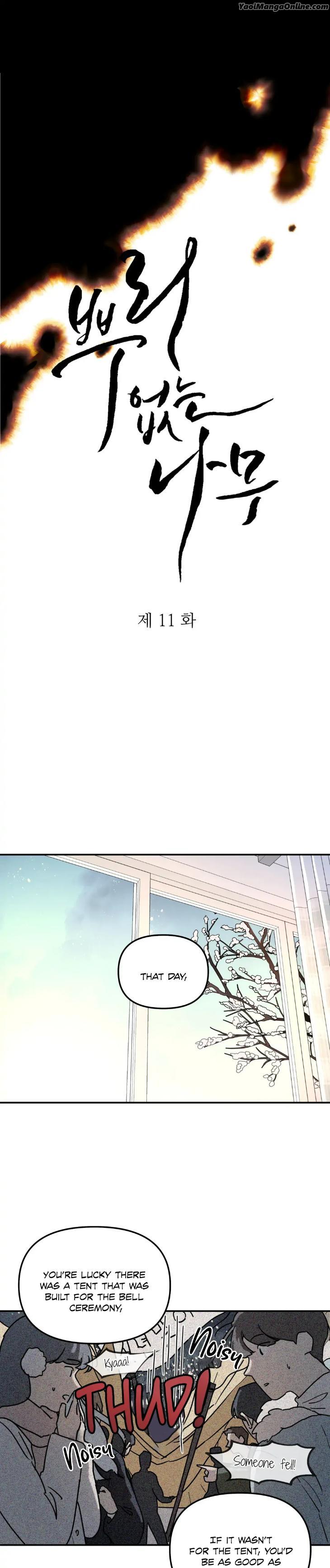A-Tree-Without-Roots-By-Lapo-Eng page 4