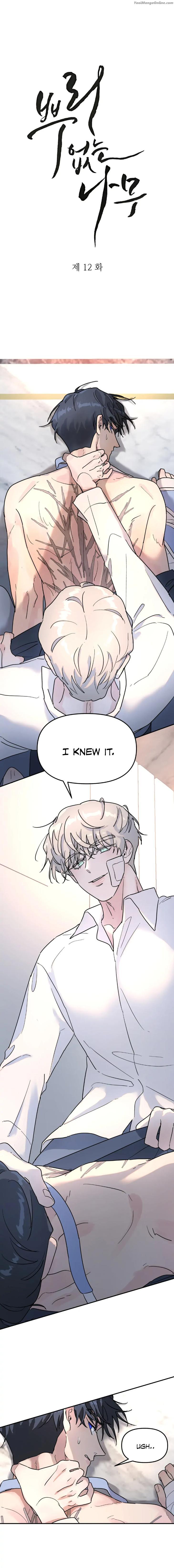 A-Tree-Without-Roots-By-Lapo-Eng chapter_012 thumbnail