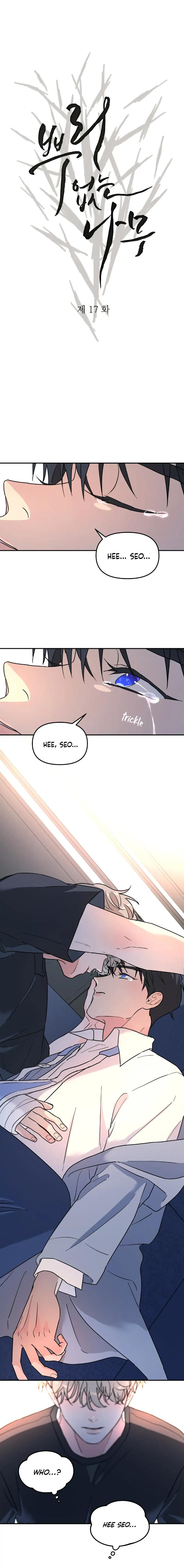 A-Tree-Without-Roots-By-Lapo-Eng page 5