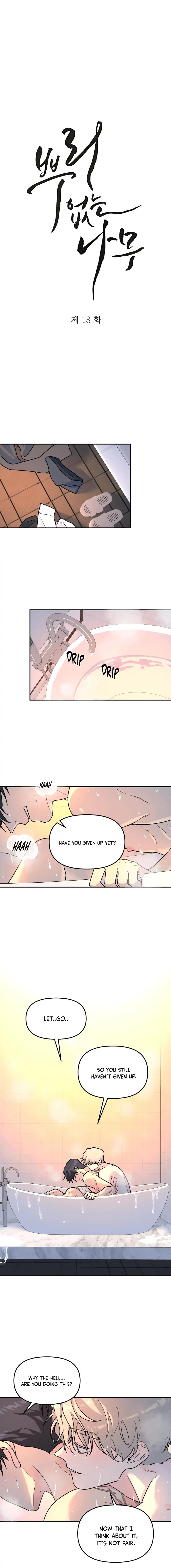 A-Tree-Without-Roots-By-Lapo-Eng page 5
