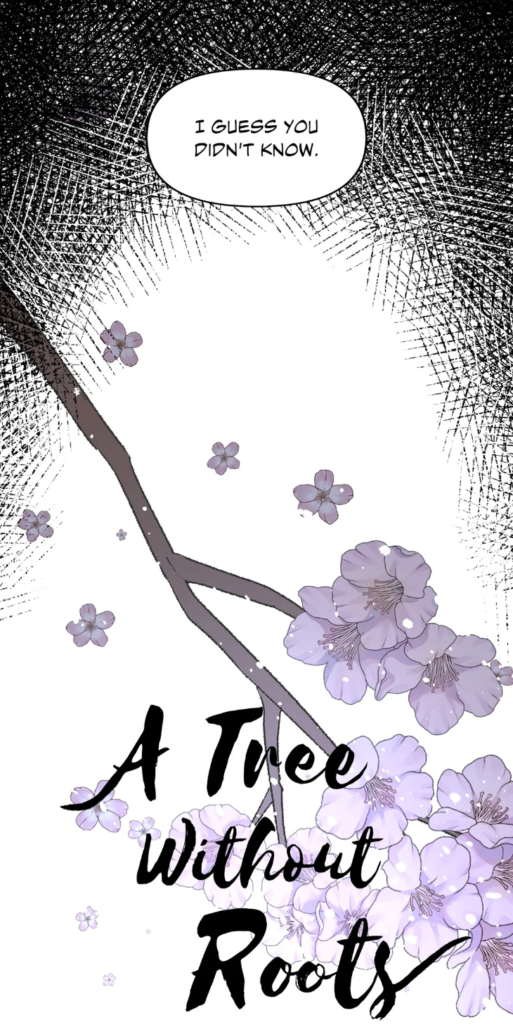 A-Tree-Without-Roots-By-Lapo-Eng page 13