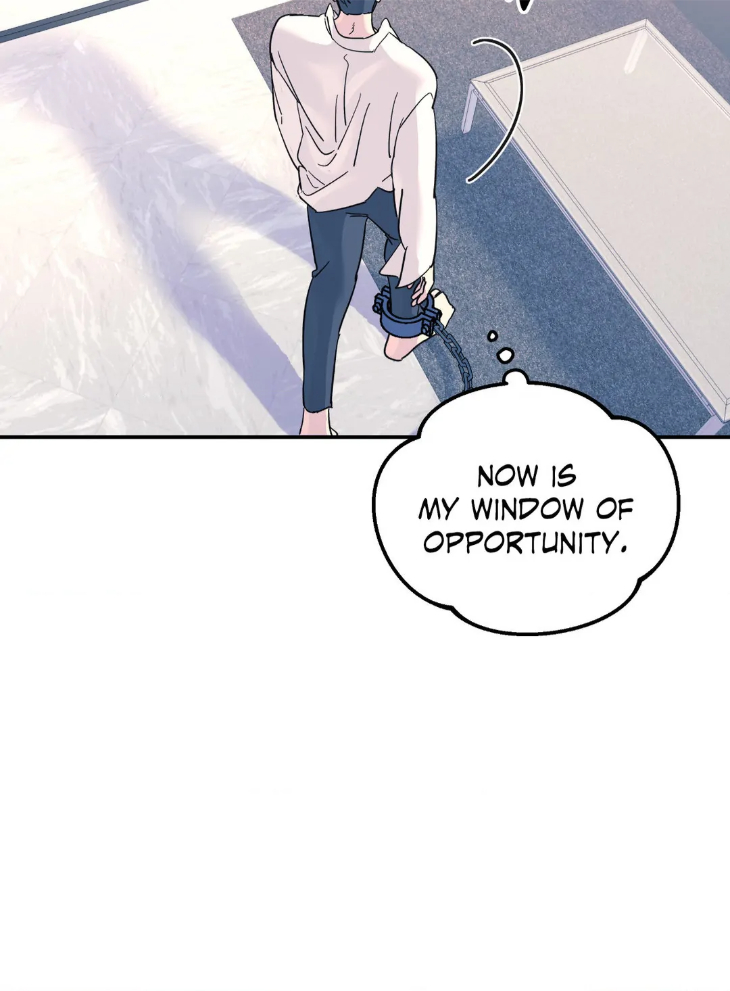A-Tree-Without-Roots-By-Lapo-Eng page 13