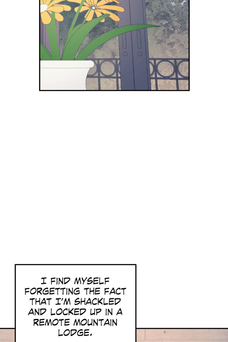 A-Tree-Without-Roots-By-Lapo-Eng page 53
