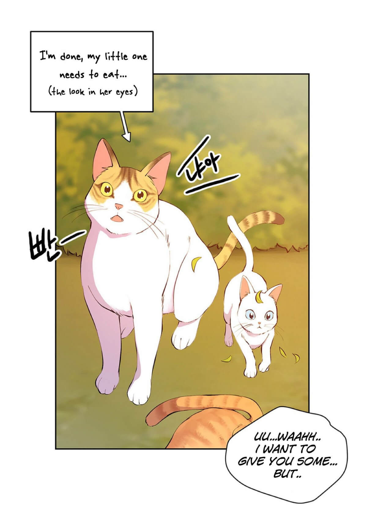 Affectionately-By-켐제-Kemje-Eng page 11