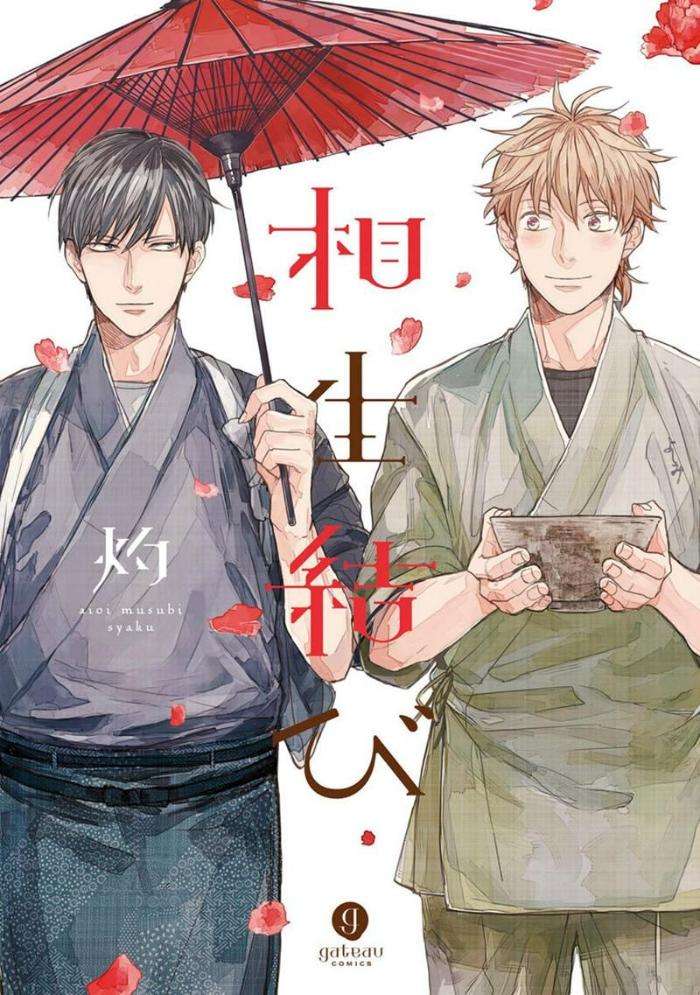 Original BL manga "Aioi-Musubi-By-Syaku-Vol-01-Eng" cover image