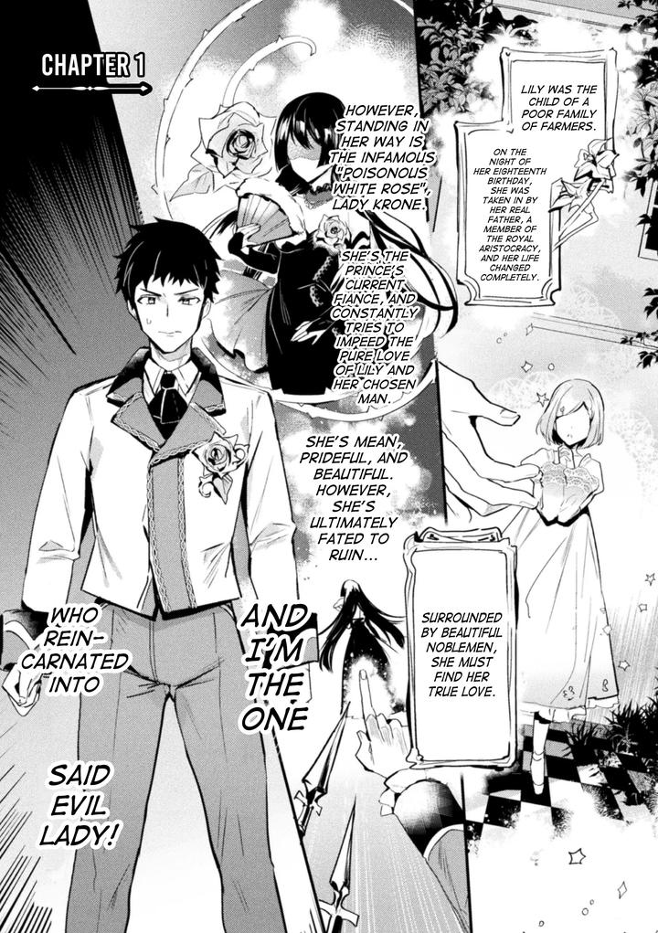 Akuyaku-Reisoku-Tensei-Akogare-No-Otomege-Chara-O-Kando-Cheat-De-Kanochi-Kouryaku-1-By-Shikanari-Eng page 2