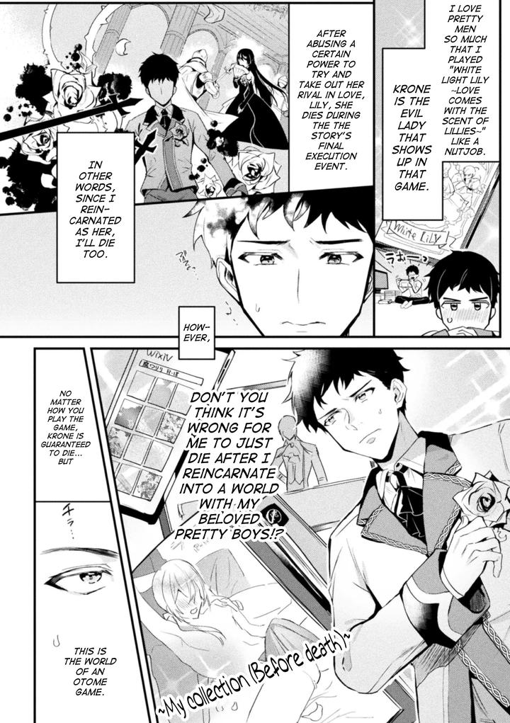 Akuyaku-Reisoku-Tensei-Akogare-No-Otomege-Chara-O-Kando-Cheat-De-Kanochi-Kouryaku-1-By-Shikanari-Eng page 3