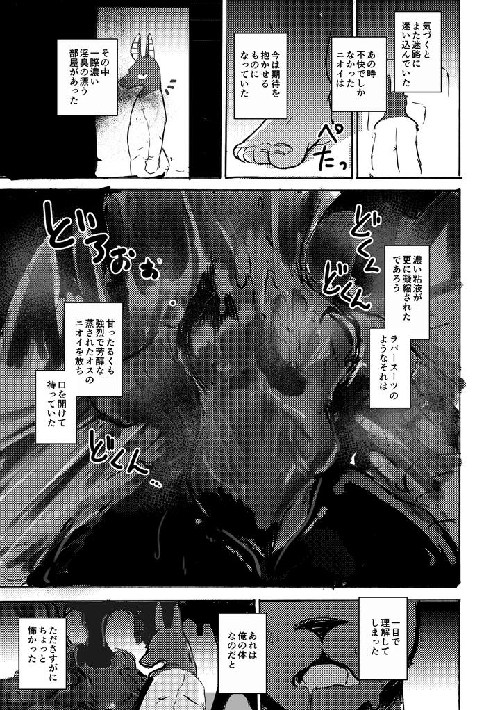 Anuphoria-By-Noppera-Kouboumujina-Jp page 28