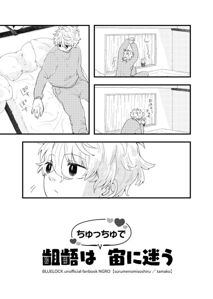 Blue-Lock-Dj-The-Discrepancy-Is-Lost-In-The-Air-By-Surume-No-Misoshiru-Tamako-Jp page 5