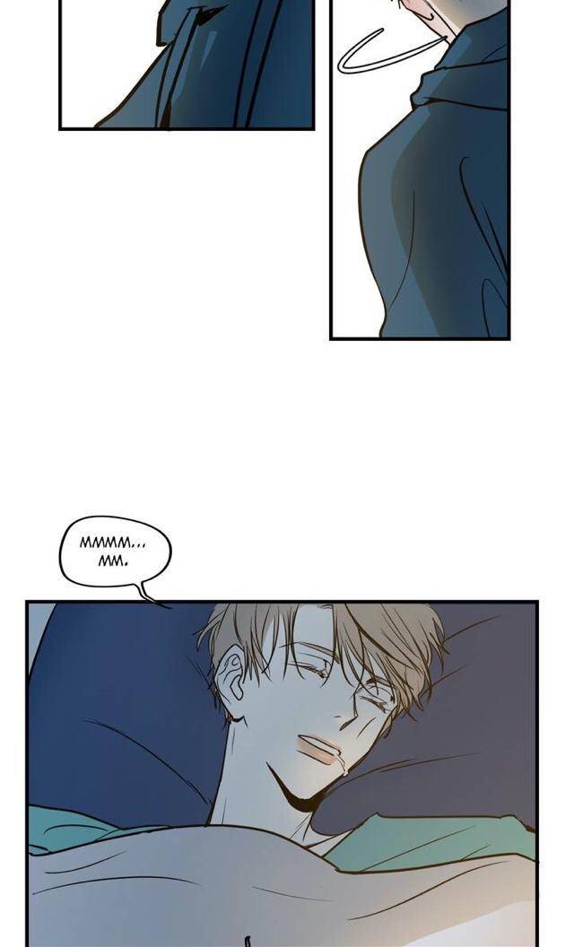 Body-Complex-By-Dell-Studio-Reck-Eng page 39