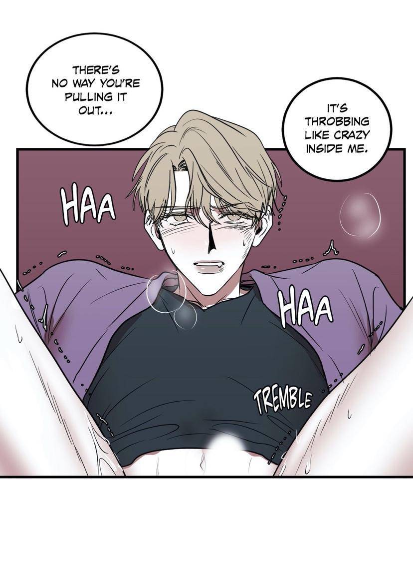 Body-Complex-By-Dell-Studio-Reck-Eng page 13