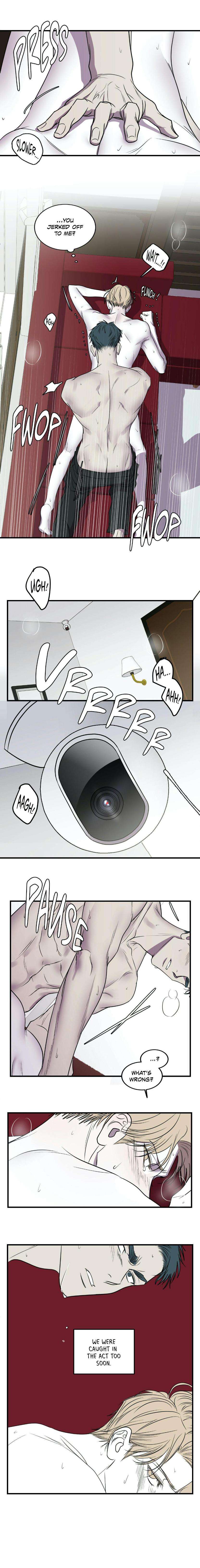 Body-Complex-By-Dell-Studio-Reck-Eng page 9