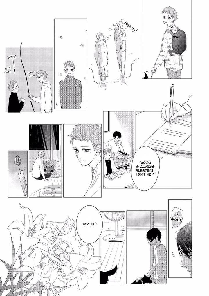 Boku-No-Koufuku-O-Shoukai-Shimasu-Rocky-Eng page 15