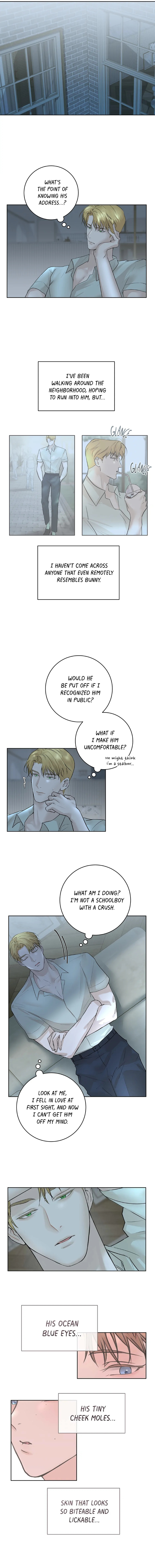 Camboy-Bunny-By-Solard-Eng page 6