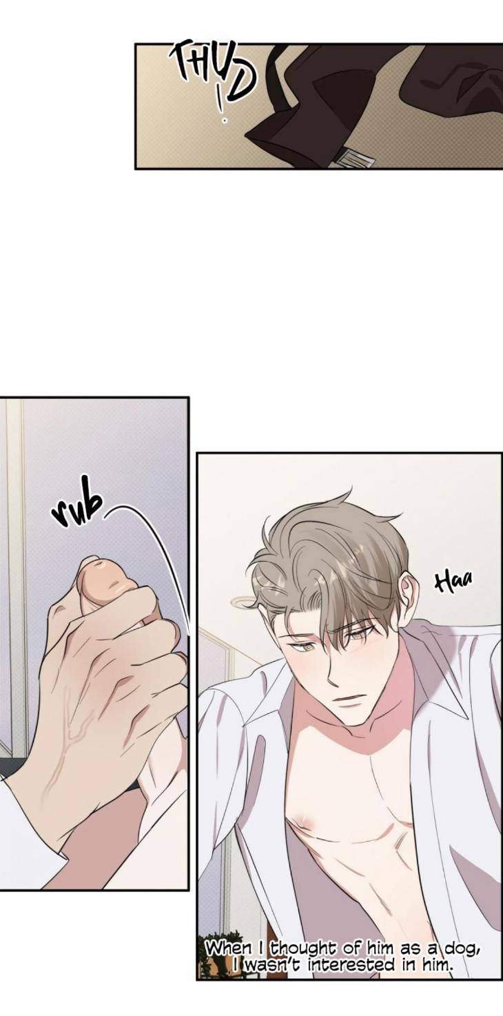 Counter-Offensive-By-Rando-Nam-Taeryeong-Uncensored-Eng page 11