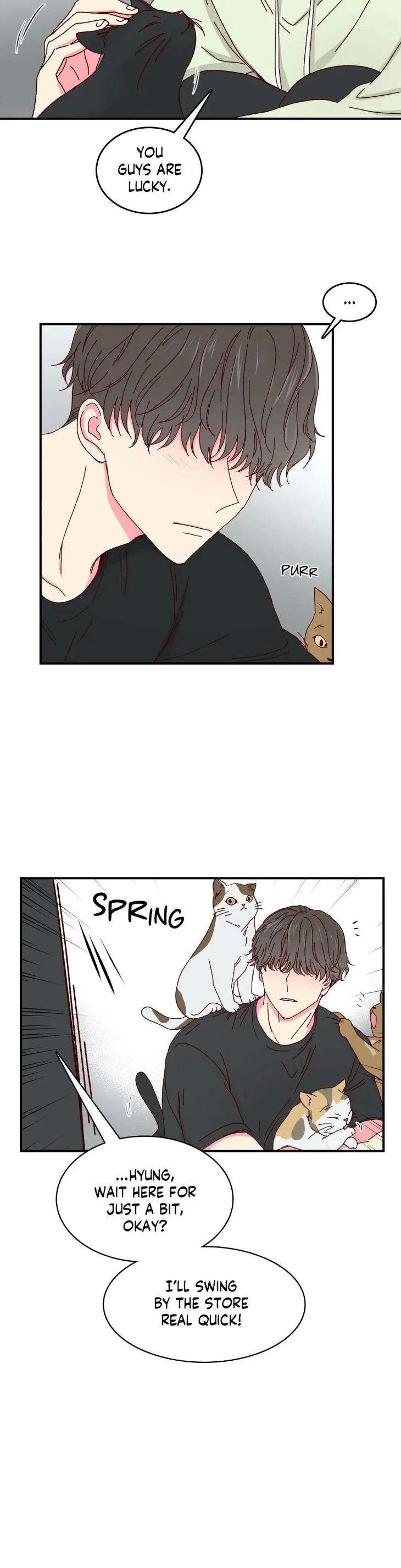 Darling-For-Dessert-By-12-Eng page 11