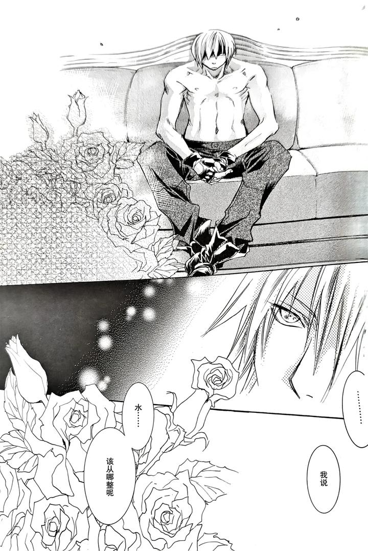 Devil-May-Cry-Dj-La-Priere-De-La-Rose-By-Caprice-Karierin-Chn page 19