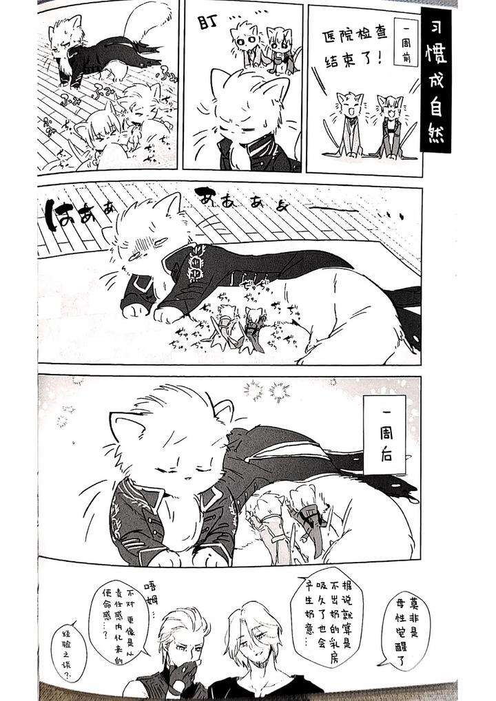 Devil-May-Cry-Dj-Twin-Cats-Reprint-By-Kyuu-To-Namahamu-Soumu-Chn page 15