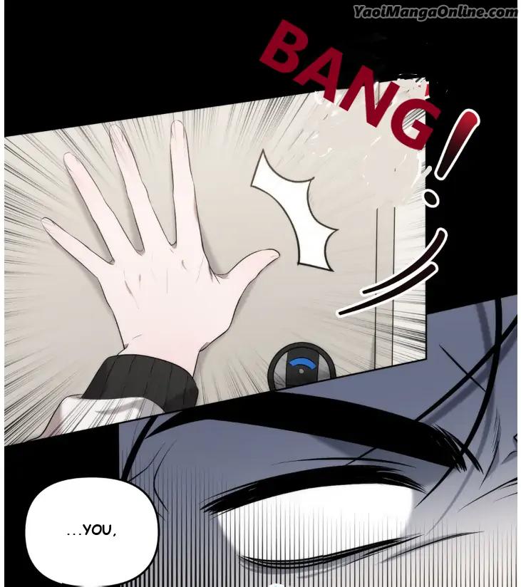 Did-It-Work-By-Rain-Lime-Tree-Eng page 50
