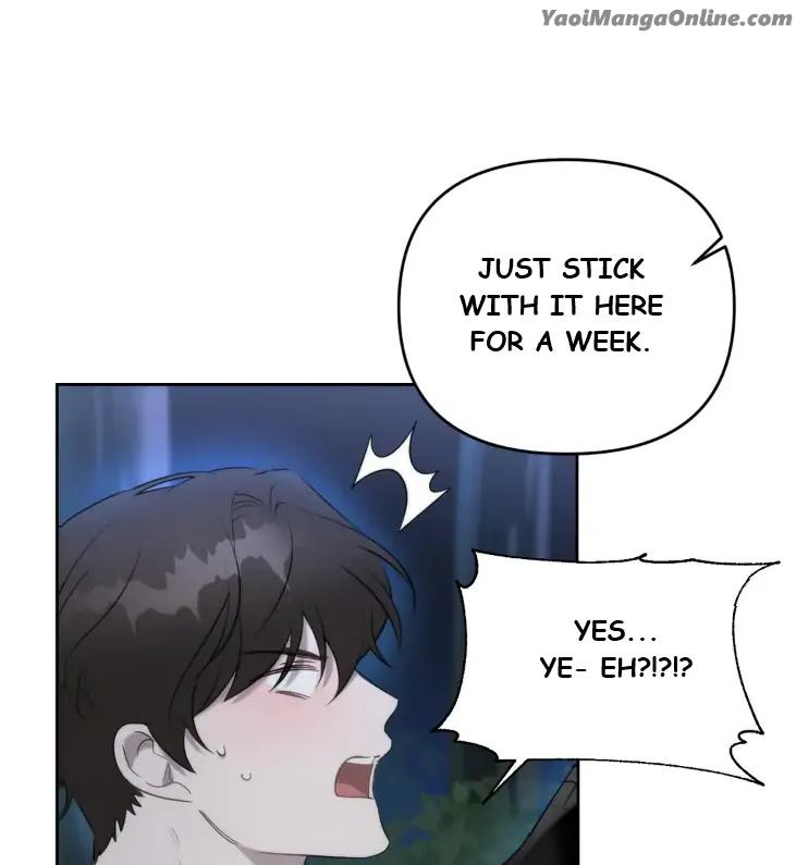 Did-It-Work-By-Rain-Lime-Tree-Eng page 74
