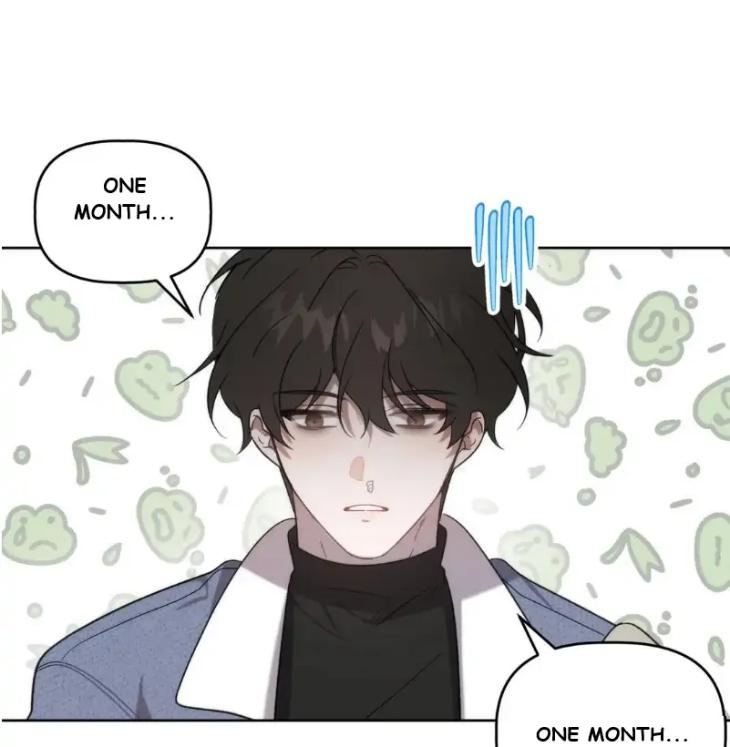 Did-It-Work-By-Rain-Lime-Tree-Eng page 4