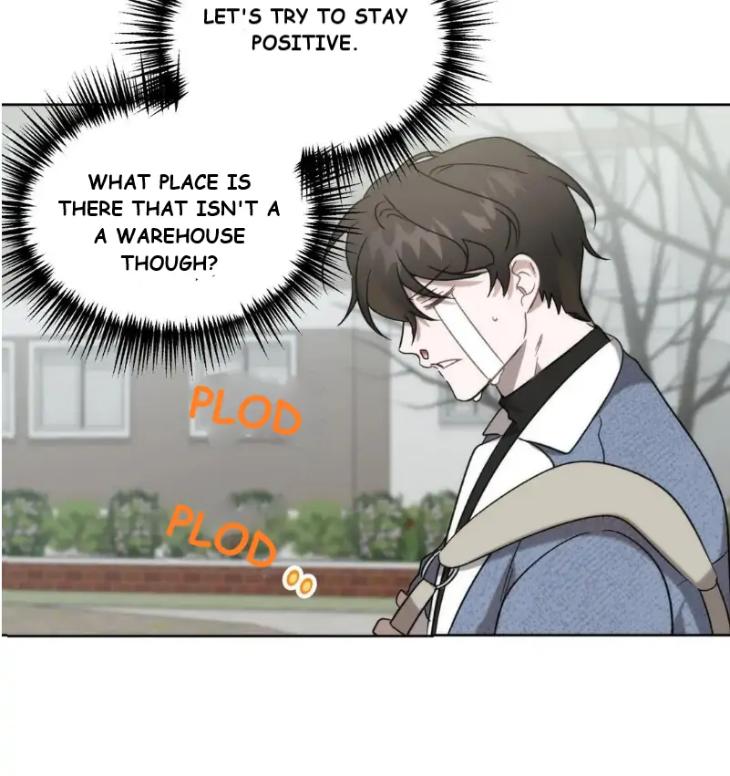 Did-It-Work-By-Rain-Lime-Tree-Eng page 17