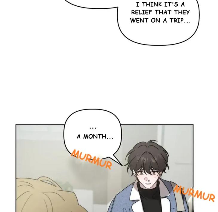 Did-It-Work-By-Rain-Lime-Tree-Eng page 21