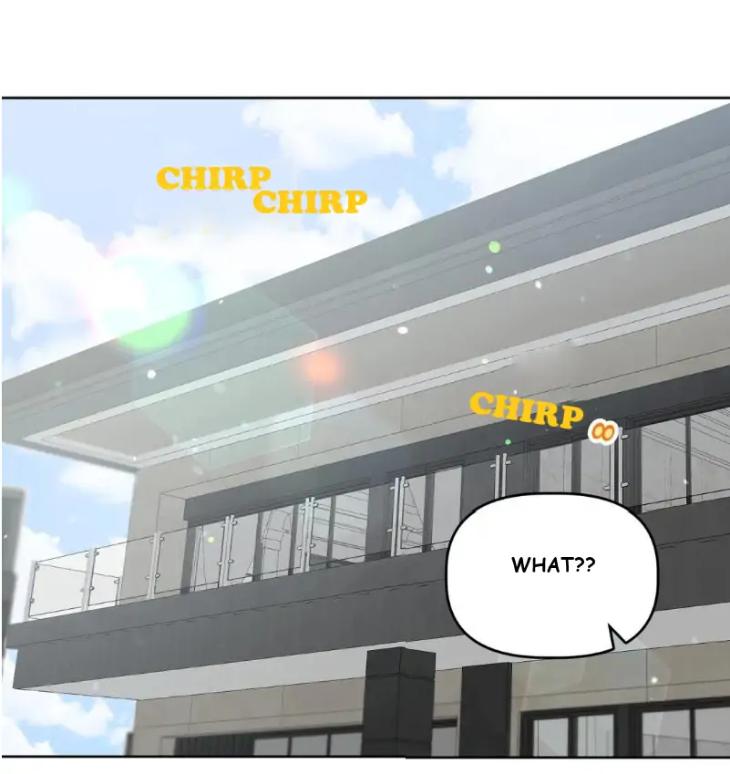 Did-It-Work-By-Rain-Lime-Tree-Eng page 36