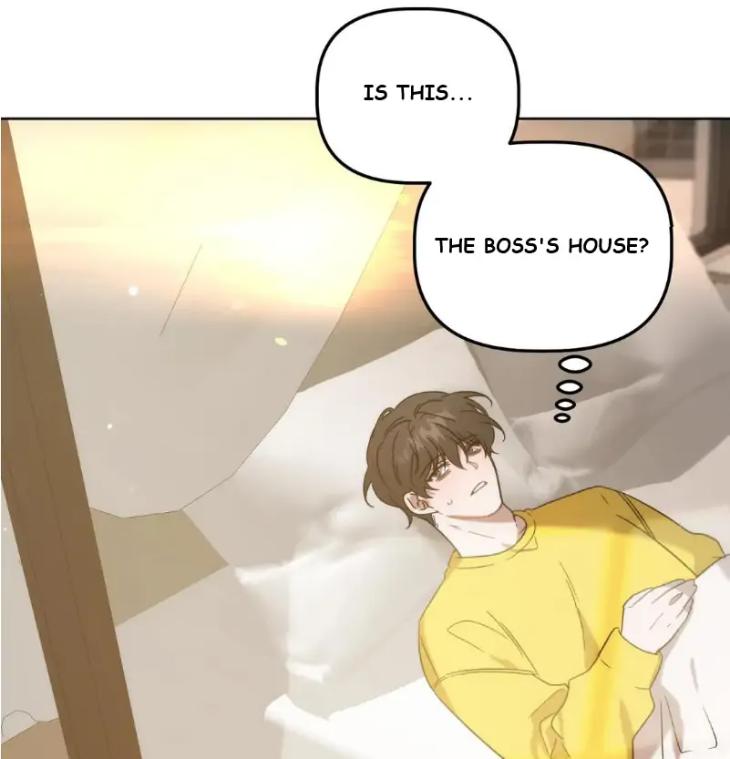 Did-It-Work-By-Rain-Lime-Tree-Eng page 5