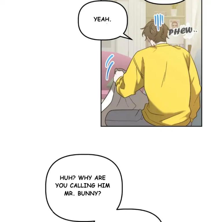 Did-It-Work-By-Rain-Lime-Tree-Eng page 37