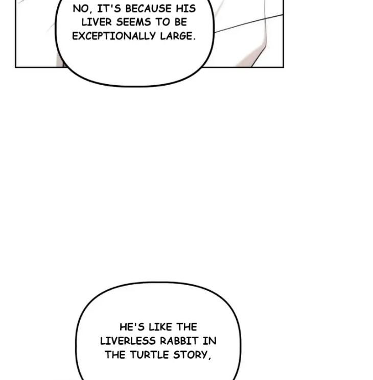 Did-It-Work-By-Rain-Lime-Tree-Eng page 39