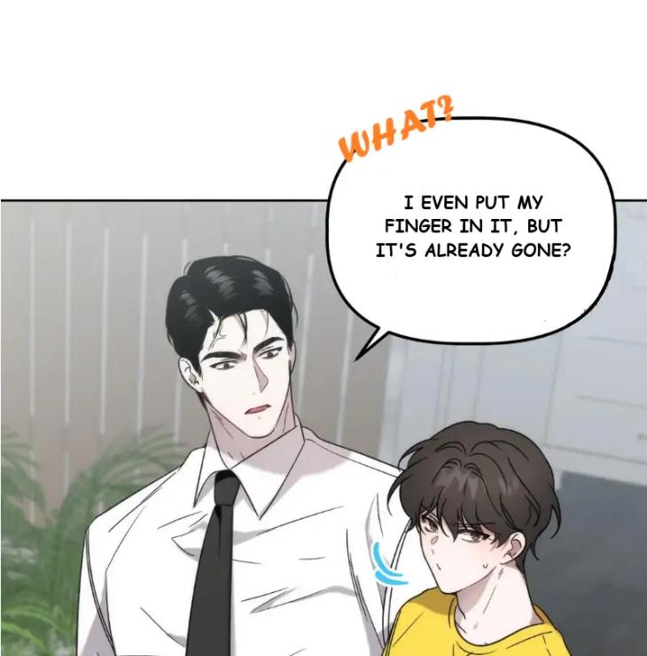 Did-It-Work-By-Rain-Lime-Tree-Eng page 89