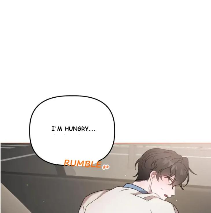 Did-It-Work-By-Rain-Lime-Tree-Eng page 16
