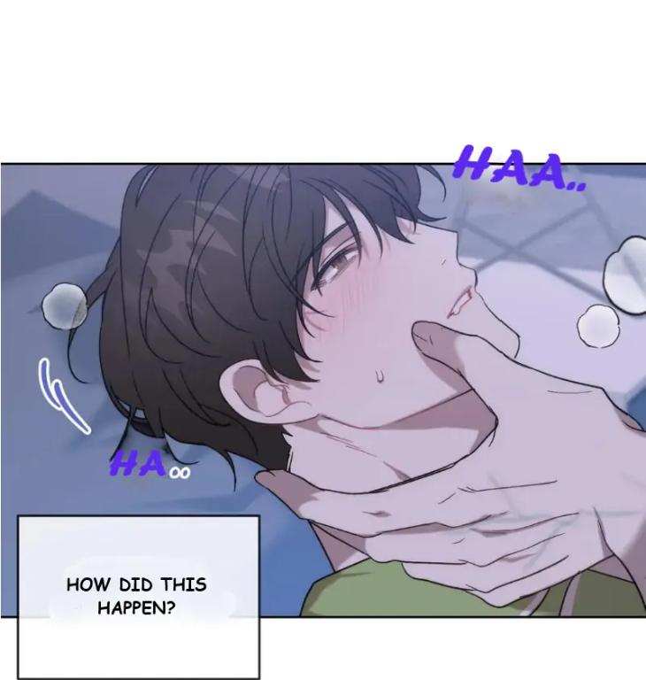 Did-It-Work-By-Rain-Lime-Tree-Eng page 7