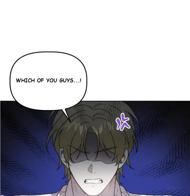 Did-It-Work-By-Rain-Lime-Tree-Eng page 7