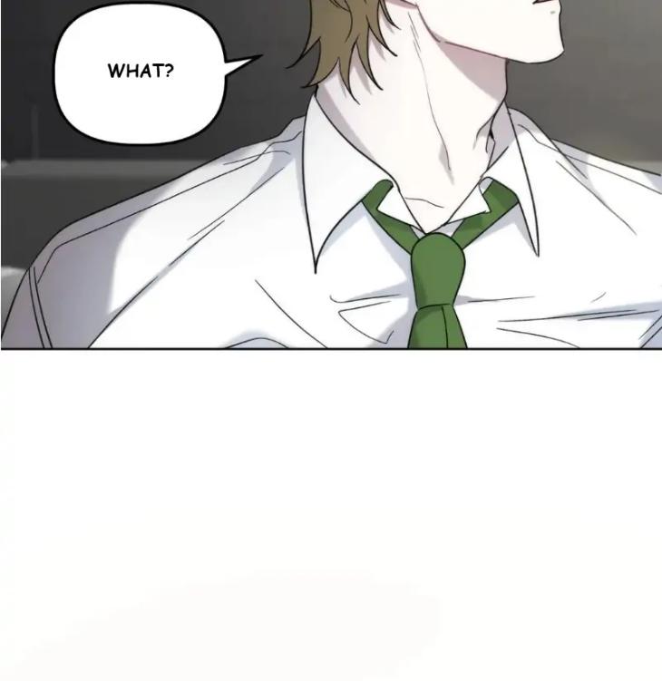 Did-It-Work-By-Rain-Lime-Tree-Eng page 18