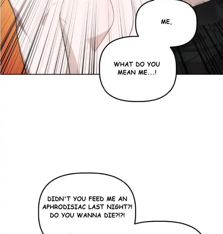 Did-It-Work-By-Rain-Lime-Tree-Eng page 40
