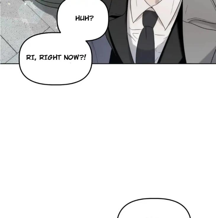 Did-It-Work-By-Rain-Lime-Tree-Eng page 47