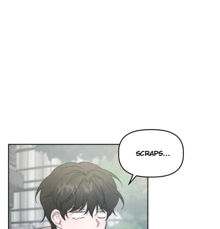 Did-It-Work-By-Rain-Lime-Tree-Eng page 10