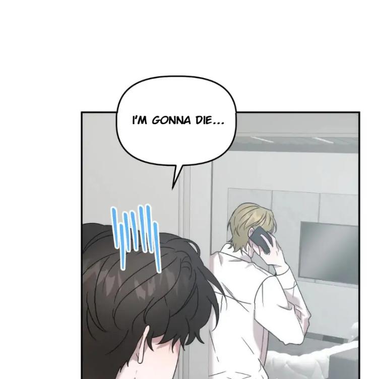 Did-It-Work-By-Rain-Lime-Tree-Eng page 6