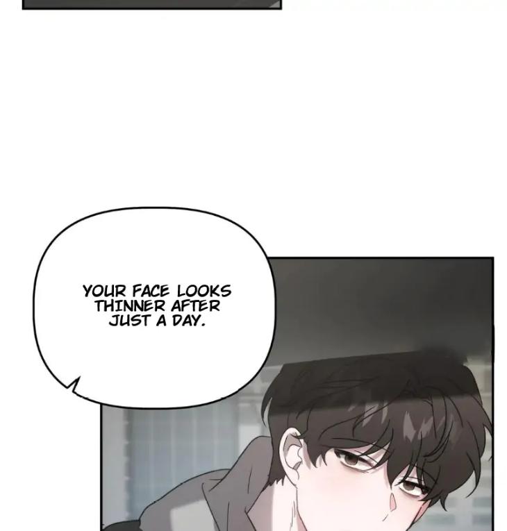 Did-It-Work-By-Rain-Lime-Tree-Eng page 40