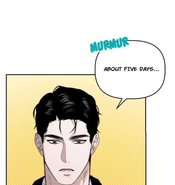 Did-It-Work-By-Rain-Lime-Tree-Eng page 45